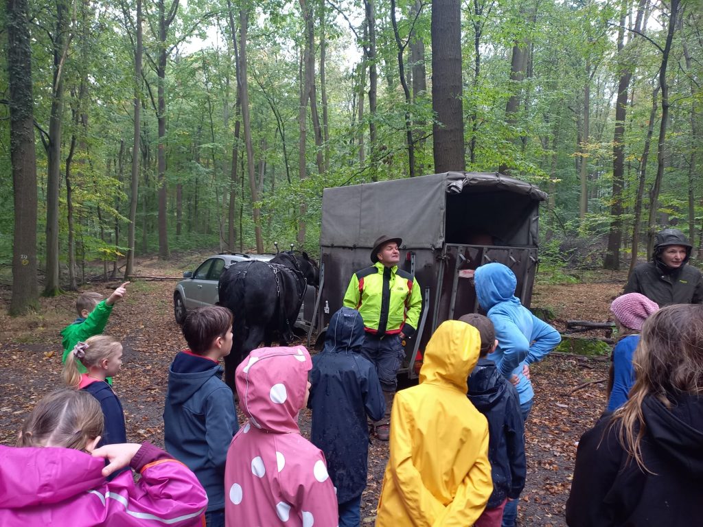 Waldtag Jg4_Rückepferde (1)