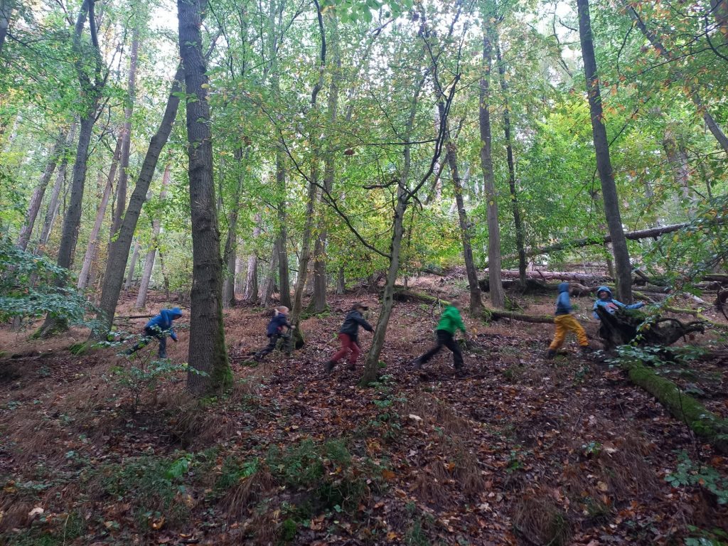 Waldtag Jg4_Rückepferde (11)