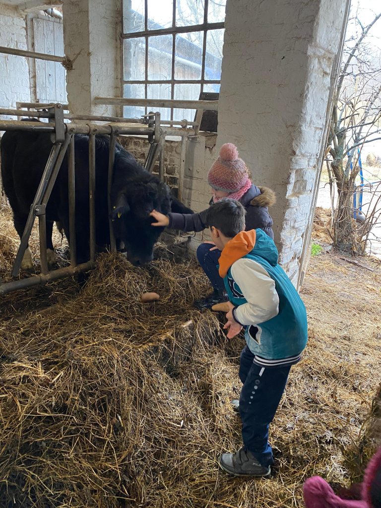 2b Bauernhof Jan 24 (5)