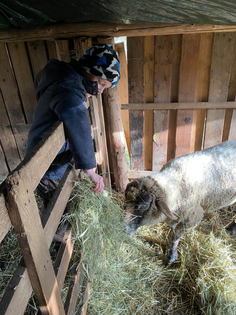 2b Bauernhof Jan 24 (6)