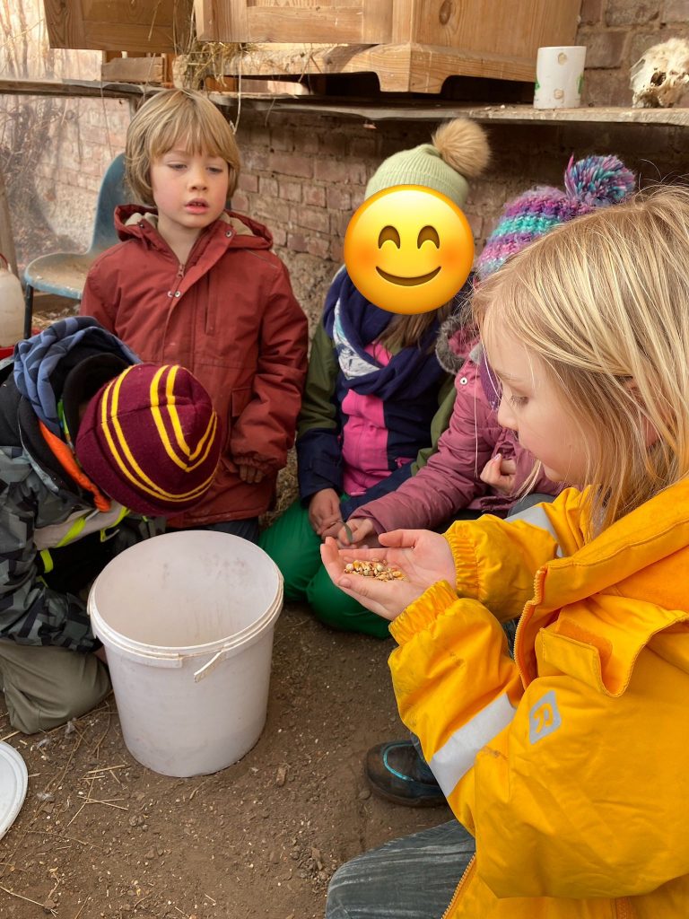 2b Bauernhof Jan 24 (9)