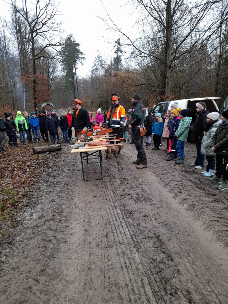 Schulwald Jg 4 Feb 24 (2)