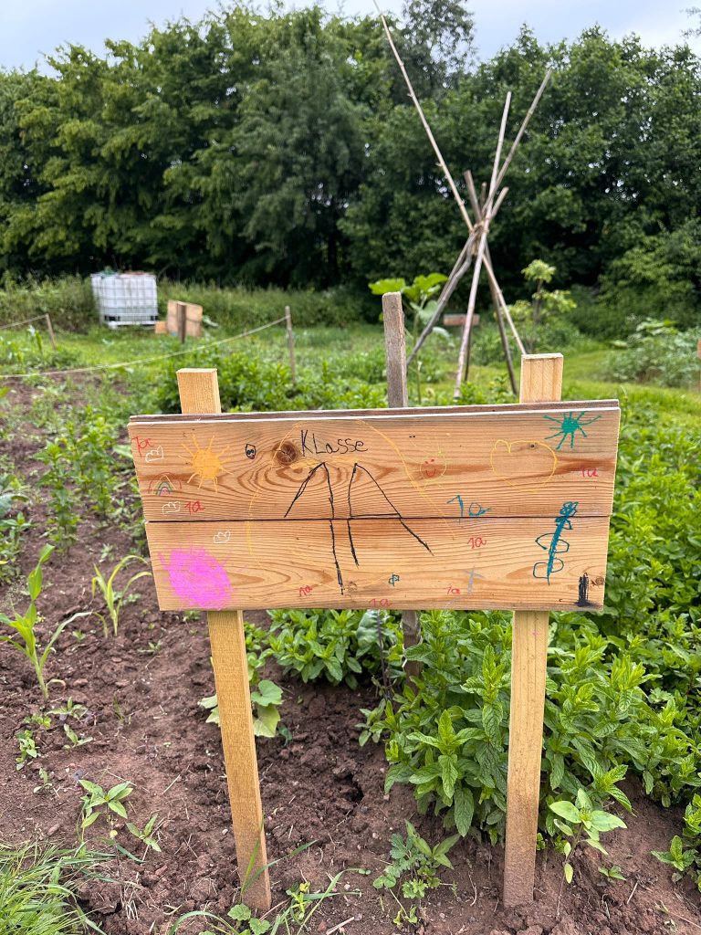 gartenjuni (2)