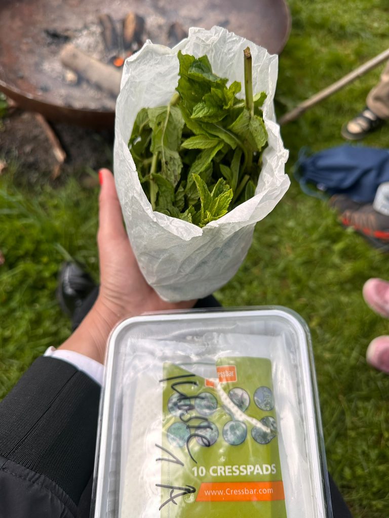 gartenjuni (4)