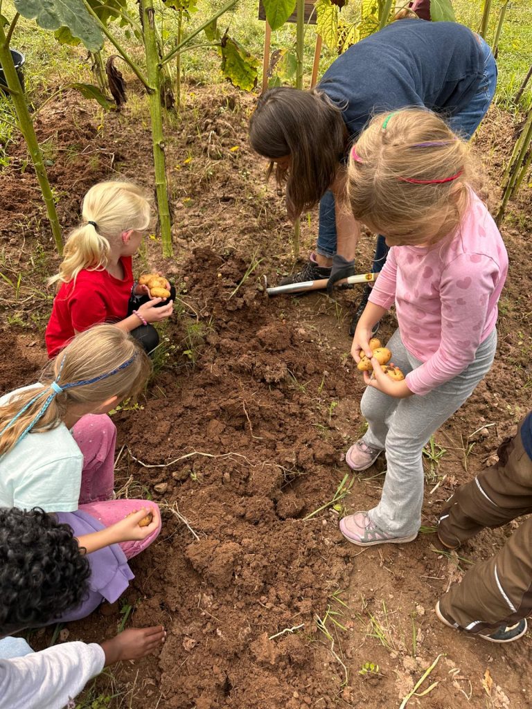 Erntefest-Gemeinschaftsgarten26 (6)