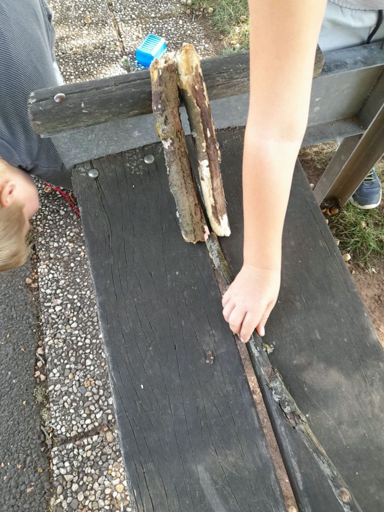 AG Kleine Entdecker (2)
