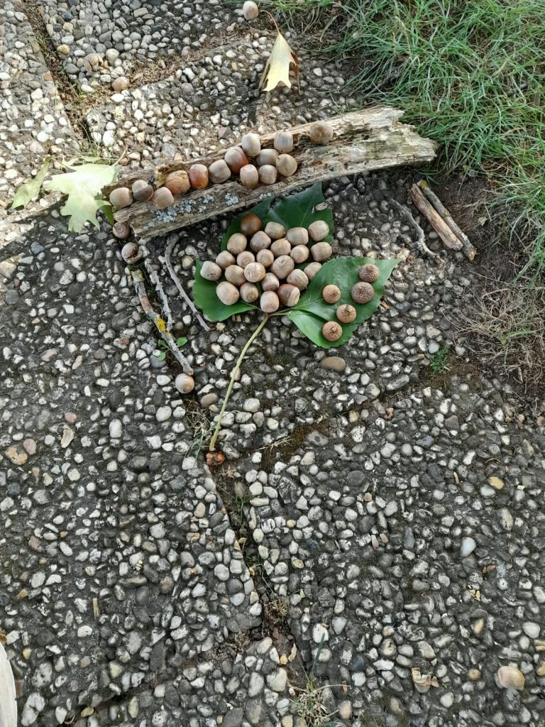 AG Kleine Entdecker (3)